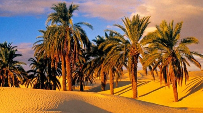 Things to do in Sinai